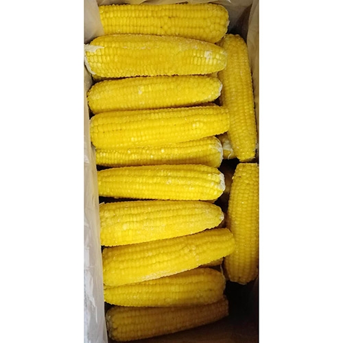 冷冻煮熟的糯玉米