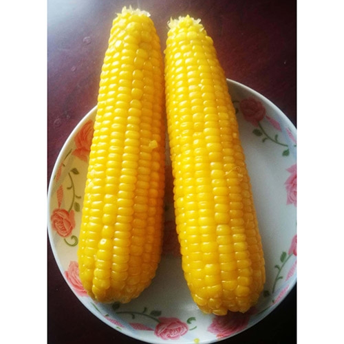 冷冻煮熟的糯玉米