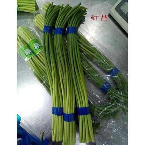 绿色蔬菜