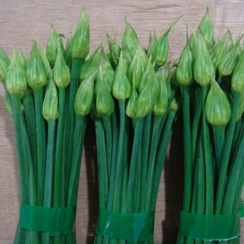绿色蔬菜