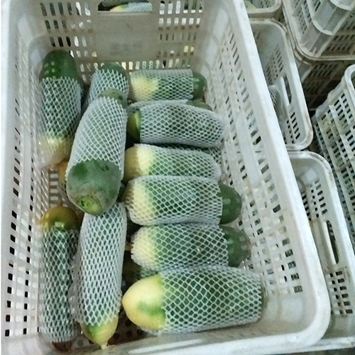 绿色蔬菜