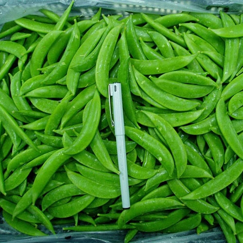 绿色蔬菜