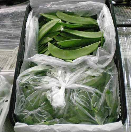 绿色蔬菜