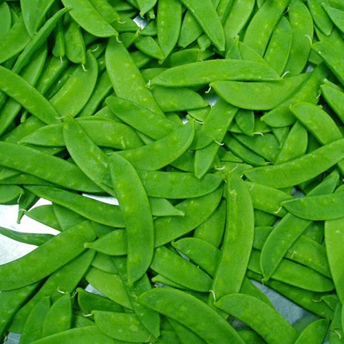 绿色蔬菜
