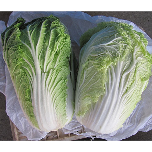 绿色蔬菜