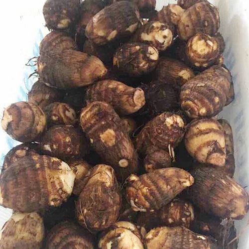 绿色蔬菜