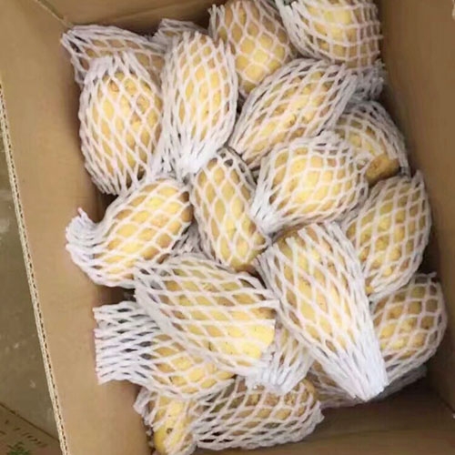 绿色蔬菜