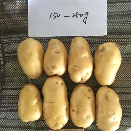 绿色蔬菜
