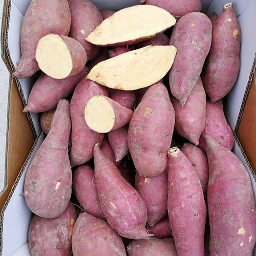 冷冻红薯