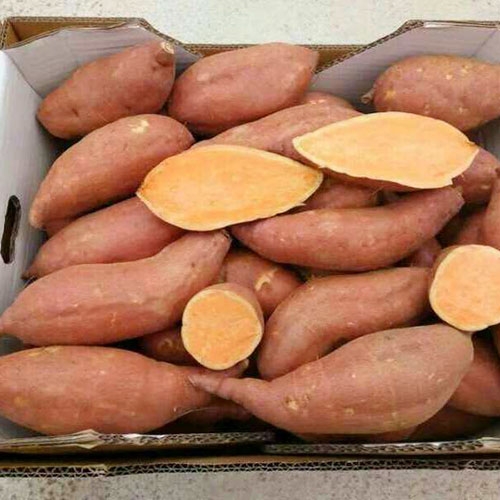冷冻红薯