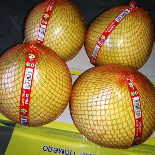 柚子