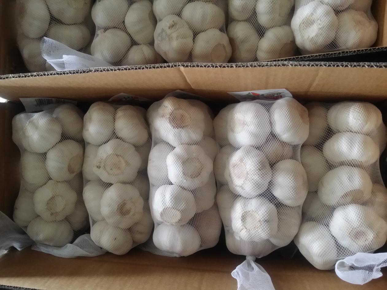 大蒜的功效有哪些？