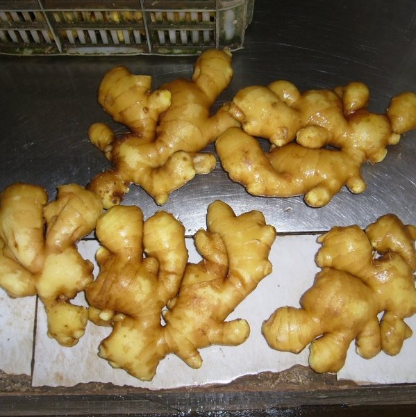 生姜